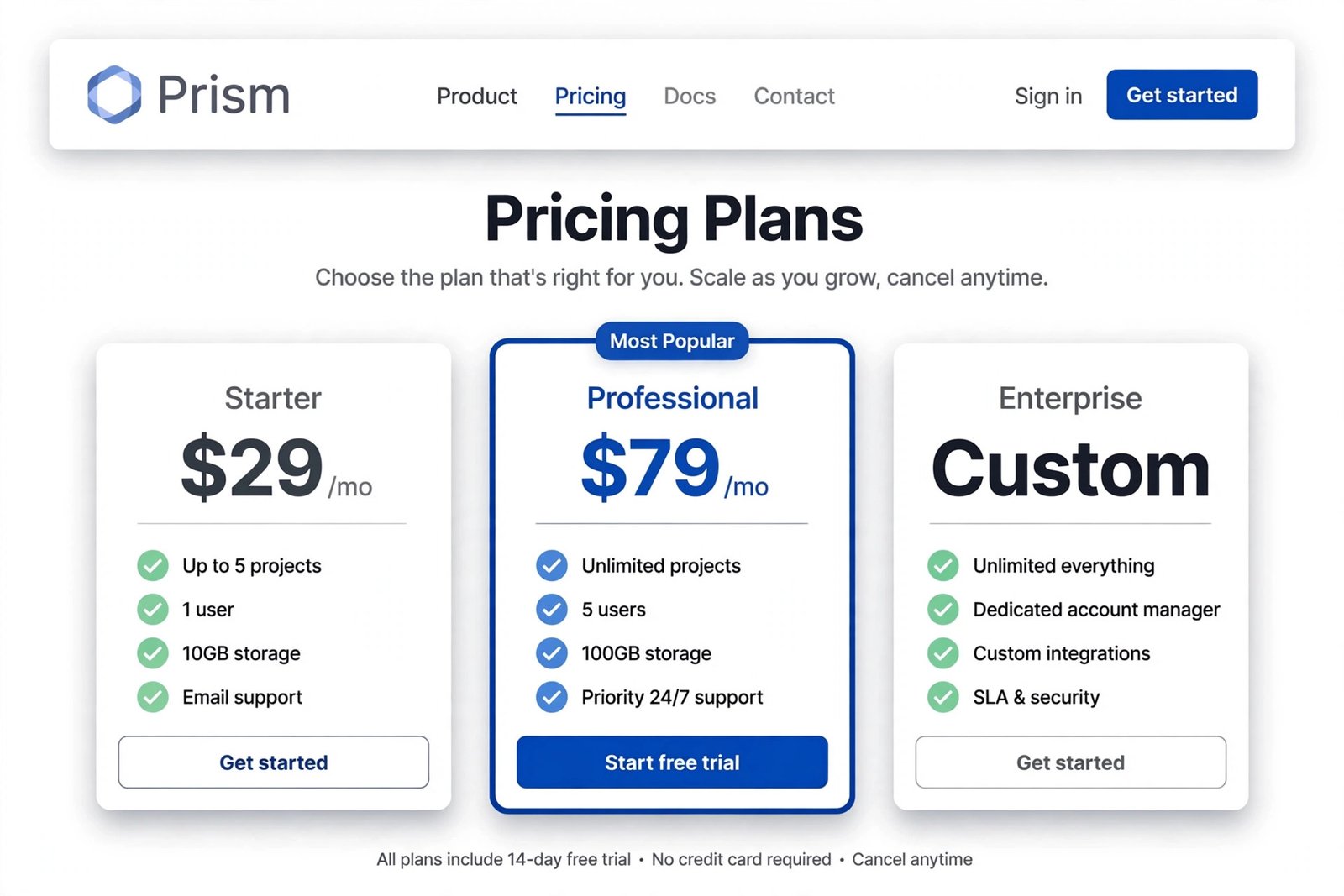 Mockup of a SaaS pricing page with three tier cards — Starter at $29 per month, Professional at $79 per month highlighted as Most Popular, and Enterprise with custom pricing — each with feature checklists and call-to-action buttons.
